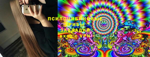 тгк Армянск