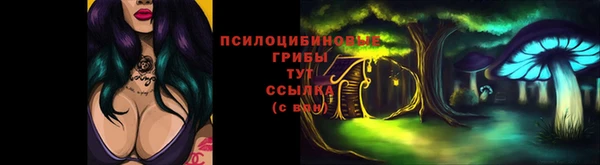 соль курить ск Арсеньев