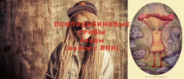 спиды Аркадак